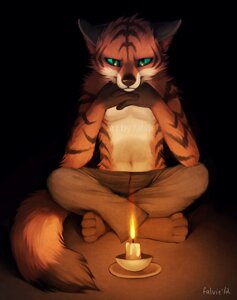 Rating: Safe Score: 0 Tags: 2012 anthro arm_support barefoot biped bottomwear brown_bottomwear brown_clothing candle clothed clothing crossed_legs digital_media_(artwork) digital_painting_(artwork) e621 falvie feet felid fire full-length_portrait fur leaning_on_elbow looking_down male mammal orange_body orange_fur painting_(artwork) pantherine pants portrait sitting solo stripes tail tiger topless User: bunchy7s