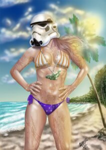 Rating: Safe Score: 0 Tags: armor auburn_hair beach bikini breasts clothed clothing detailed_background dripping e621 female glare grandfathered_content hair hands_on_hips headgear helmet human jewelry long_hair mammal medallion necklace not_furry outside plant pose sand sea seaside skimpy sky solo star_wars stormtrooper sun swimwear the_charlie_art tree two-piece_swimsuit water wet what User: bunchy7s