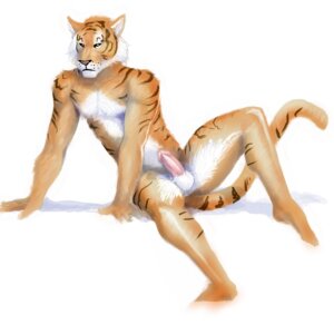 Rating: Explicit Score: 0 Tags: 1:1 2011 anthro auric balls e621 erection felid genitals hi_res male mammal pantherine penis presenting solo stripes tiger User: bunchy7s Rating: Explicit Score: 0 Tags: 1:1 2011 anthro auric balls e621 erection felid genitals hi_res male mammal pantherine penis presenting solo stripes tiger User: bunchy7s