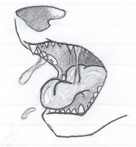 Rating: Safe Score: 0 Tags: ambiguous_gender bodily_fluids drooling e621 feral furrboi7 low_res open_mouth saliva sketch solo teeth tongue User: bunchy7s