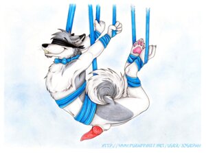 Rating: Explicit Score: 0 Tags: 1boy 2011 anthro balls blindfold bondage bound bow_tie canine fur furry josepaw knot male male_only nude penis rope rule34 solo suspension User: bunchy7s