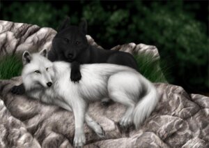Rating: Safe Score: 0 Tags: 2006 4_fingers 4_toes ambiguous_gender black_body black_claws black_fur black_nose brown_eyes canid canine canis claws colored detailed detailed_background digitigrade duo e621 feet feral fingers fur grass hindpaw inner_ear_fluff jocarra long_mouth looking_at_viewer lying mammal no_sclera on_side outside pawpads paws photorealism plant realistic rock romantic romantic_couple snout tail toes tuft white_body white_fur wolf yellow_eyes User: bunchy7s Rating: Safe Score: 0 Tags: 2006 4_fingers 4_toes ambiguous_gender black_body black_claws black_fur black_nose brown_eyes canid canine canis claws colored detailed detailed_background digitigrade duo e621 feet feral fingers fur grass hindpaw inner_ear_fluff jocarra long_mouth looking_at_viewer lying mammal no_sclera on_side outside pawpads paws photorealism plant realistic rock romantic romantic_couple snout tail toes tuft white_body white_fur wolf yellow_eyes User: bunchy7s