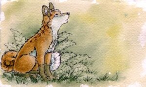 Rating: Safe Score: 0 Tags: 2012 ambiguous_gender canid canine e621 feral fox fur grass looking_up low_res mammal mixed_media multicolored_body multicolored_fur outside painting_(artwork) pen_(artwork) plant quadruped red_fox ruaidri sitting solo tail traditional_media_(artwork) traditional_painting_(artwork) traditional_watercolor_(artwork) true_fox watercolor_(artwork) white_body white_fur User: bunchy7s