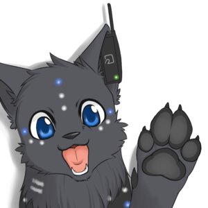 Rating: Safe Score: 0 Tags: 1:1 ambiguous_gender blue_eyes canid canine canis chibi e621 feral mammal solo tragedy-wolf wolf User: bunchy7s