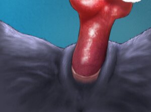 Rating: Explicit Score: 0 Tags: ambiguous_form ambiguous_species animal_genitalia animal_penis anthro canid canine canine_genitalia canine_penis close-up crotch_shot digital_media_(artwork) duo e621 erection female female_penetrated genital_close-up genitals karakina knot lying male male/female male_penetrating male_penetrating_female mammal on_back penetration penile penile_penetration penis penis_in_vagina sex sex_shot vaginal vaginal_penetration vulva vulva_close-up User: bunchy7s