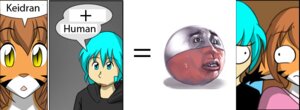 Rating: Safe Score: 0 Tags: brown_hair countershading countryballs duo e621 felid female flora_(twokinds) fur grandfathered_content hair human humor keidran mammal math meme orange_body orange_fur pantherine polandball sphere_creature third-party_edit tiger trace_legacy twokinds unknown_artist white_body white_fur User: bunchy7s