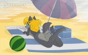 Rating: Questionable Score: 0 Tags: 16:10 2011 4_toes anthro beach beach_umbrella biped blonde_hair breasts butt canid canine canis countershading digital_media_(artwork) e621 featureless_breasts featureless_crotch feet female hair helsy lafille mammal nude outside parasol seaside solo summer tail toes wallpaper widescreen wolf User: bunchy7s