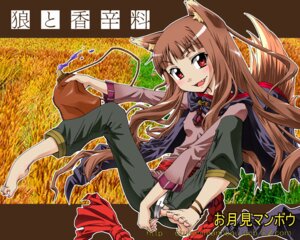 Rating: Questionable Score: 0 Tags: 5:4 animal_humanoid bottomwear canid canid_humanoid canine canine_humanoid canis clothed clothing e621 female holo_(spice_and_wolf) humanoid looking_at_viewer mammal mammal_humanoid open_bottomwear open_clothing open_pants otukimimannbou pants red_eyes solo spice_and_wolf wolf wolf_humanoid User: bunchy7s Rating: Questionable Score: 0 Tags: 5:4 animal_humanoid bottomwear canid canid_humanoid canine canine_humanoid canis clothed clothing e621 female holo_(spice_and_wolf) humanoid looking_at_viewer mammal mammal_humanoid open_bottomwear open_clothing open_pants otukimimannbou pants red_eyes solo spice_and_wolf wolf wolf_humanoid User: bunchy7s