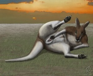 Rating: Explicit Score: 0 Tags: 2009 clitoris emptyset female feral kangaroo marsupial pussy raised_leg rule34 solo spread_pussy spreading User: bunchy7s Rating: Explicit Score: 0 Tags: 2009 clitoris emptyset female feral kangaroo marsupial pussy raised_leg rule34 solo spread_pussy spreading User: bunchy7s