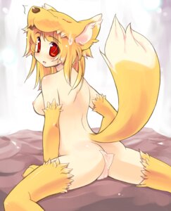 Rating: Explicit Score: 0 Tags: blonde_hair breasts female fox_ears fox_tail moonlight_flower red_eyes rule34 sweatdrop User: bunchy7s Rating: Explicit Score: 0 Tags: blonde_hair breasts female fox_ears fox_tail moonlight_flower red_eyes rule34 sweatdrop User: bunchy7s