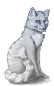 Rating: Safe Score: 0 Tags: ambiguous_gender blue_eyes domestic_cat e621 fan_character felid feline felis feral fur grey_body grey_fur looking_at_viewer mammal markings octobertiger pose ring_(marking) ringed_tail silvershade simple_background solo striped_markings striped_tail stripes tail tail_markings tongue tongue_out warriors_(book_series) whiskers white_background white_markings User: bunchy7s