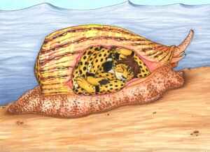 Rating: Questionable Score: 0 Tags: 2011 ambiguous_gender anthro aquatic aquatic_gastropod beach cheetah cone cone_snail duo e621 felid feline feral fish gastropod kibacheetah male male_prey mammal mollusk outside paralyzing sea_snail seaside snail soft_vore swallowing taen tail traditional_media_(artwork) vore User: bunchy7s Rating: Questionable Score: 0 Tags: 2011 ambiguous_gender anthro aquatic aquatic_gastropod beach cheetah cone cone_snail duo e621 felid feline feral fish gastropod kibacheetah male male_prey mammal mollusk outside paralyzing sea_snail seaside snail soft_vore swallowing taen tail traditional_media_(artwork) vore User: bunchy7s
