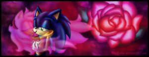 Rating: Safe Score: 0 Tags: amy_rose anthro black_border blue_body blue_fur border clothing duo e621 ellythegee eulipotyphlan female flower fur ghost gloves hair handwear hedgehog love male mammal pink_body pink_fur plant rose_(flower) sega shadow sonic_the_hedgehog sonic_the_hedgehog_(series) spirit translucent translucent_body translucent_hair User: bunchy7s