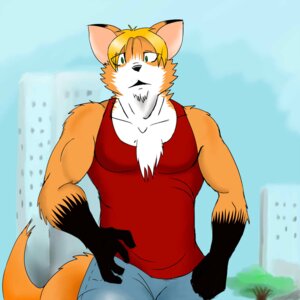 Rating: Safe Score: 0 Tags: 1:1 2012 anthro bardofox biceps big_muscles blonde_hair canid canine chest_tuft city clothed clothing e621 fox front_view fully_clothed fur hair hi_res looking_at_viewer male mammal muscular muscular_anthro muscular_male orange_body orange_fur outside pecs plant shirt sky solo surprised tail tank_top topwear tree tuft white_body white_fur User: bunchy7s