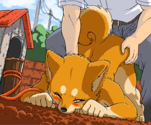 Rating: Explicit Score: 0 Tags: anthro anthro_penetrated barefoot biped blush bodily_fluids brown_eyes canid canine canis censored clothed clothing collar crying curled_tail domestic_dog dominant dominant_human dominant_male duo e621 feet female female_on_human female_penetrated forced fully_clothed human human_on_anthro human_penetrating human_penetrating_anthro interspecies leash male male/female male_human male_on_anthro male_penetrating male_penetrating_female mammal mosaic_censorship nude one_eye_closed penetration rape sex submissive submissive_female tail tears unknown_artist User: bunchy7s