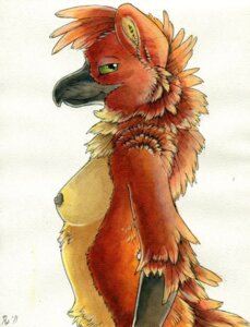 Rating: Questionable Score: 0 Tags: anthro avian beak breasts clothed clothing e621 female gryphon mythological_avian mythological_creature mythology nipples non-mammal_breasts non-mammal_nipples nude ruaidri side_view small_breasts solo topless User: bunchy7s