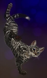 Rating: Safe Score: 0 Tags: abstract_background ambiguous_gender domestic_cat e621 falling felid feline felis feral fur grey_body grey_fur hi_res katanimate mackerel_tabby mammal realistic simple_background solo spots spotted_tabby stripes tabby_cat whiskers yellow_eyes User: bunchy7s