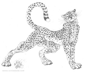 Rating: Explicit Score: 0 Tags: 2007 anatomically_correct anatomically_correct_genitalia animal_genitalia animal_penis anthro balls black_and_white blotch cheetah claws e621 erection felid feline feline_genitalia feline_penis fluffy genitals male mammal monochrome penile_spines penis raised_tail scratches_volume_1 slim solo spots stretching tail tapering_penis traditional_media_(artwork) whiskers User: bunchy7s
