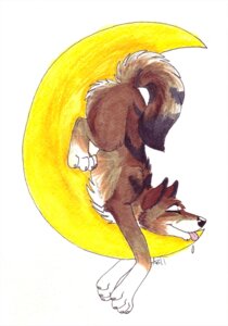 Rating: Safe Score: 0 Tags: 2012 ambiguous_gender ass_up canid canine canis celestialwolfen digitigrade e621 eyes_closed feral mammal moon quadruped sleeping solo tail tongue tongue_out upside_down wolf User: bunchy7s