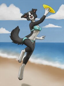 Rating: Safe Score: 0 Tags: 4_toes 5_fingers ajna anthro artist_collaboration beach belly bikini biped black_body black_eyes black_fur black_nose border_collie breasts canid canine canis cheek_tuft cleavage clothed clothing cloud collie day detailed_background domestic_dog e621 facial_tuft feet female female_anthro fingers frisbee fur herding_dog hi_res jumping katida lichelet lisa_(cmdrkitsune) mammal navel open_mouth orange_eyes outside pastoral_dog pinup pose sand seaside sheepdog skimpy sky smile solo swimwear tail toes toony tuft two-piece_swimsuit white_belly white_feet white_hands User: bunchy7s