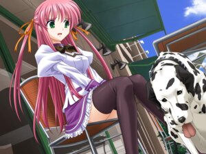 Rating: Explicit Score: 0 Tags: aihara_sarina canine canine_on_human delta female female_human green_eyes human male male/female male_canine pink_hair rule34 shiiku_hakusho shiiku_hakusho_-_kusari_ni_tsunagareta_doukyuusei thighhighs zoophilia User: bunchy7s Rating: Explicit Score: 0 Tags: aihara_sarina canine canine_on_human delta female female_human green_eyes human male male/female male_canine pink_hair rule34 shiiku_hakusho shiiku_hakusho_-_kusari_ni_tsunagareta_doukyuusei thighhighs zoophilia User: bunchy7s