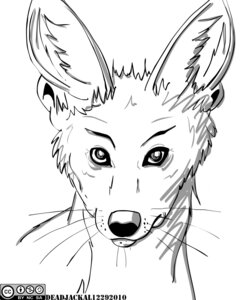 Rating: Safe Score: 0 Tags: 2010 ambiguous_gender black_and_white canid canine canis cc-by-nc-sa creative_commons deadjackal e621 hi_res jackal mammal monochrome simple_background solo white_background User: bunchy7s Rating: Safe Score: 0 Tags: 2010 ambiguous_gender black_and_white canid canine canis cc-by-nc-sa creative_commons deadjackal e621 hi_res jackal mammal monochrome simple_background solo white_background User: bunchy7s