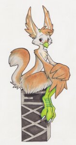 Rating: Safe Score: 0 Tags: 2011 anthro avian beak e621 feathered_wings feathers female gryphon merystic mythological_avian mythological_creature mythology nude simple_background solo tail white_background winged_arms wings User: bunchy7s Rating: Safe Score: 0 Tags: 2011 anthro avian beak e621 feathered_wings feathers female gryphon merystic mythological_avian mythological_creature mythology nude simple_background solo tail white_background winged_arms wings User: bunchy7s