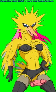 Rating: Explicit Score: 0 Tags: anthro avian blue_eyes breasts clothes color dark-moltres front_view futanari intersex intersex_only legendary_pokemon nintendo penis pokemon pokemorph rule34 solo standing tagme zapdos User: bunchy7s