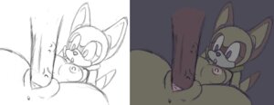 Rating: Explicit Score: 0 Tags: anthro chd female fur male mammal marine_the_raccoon nipples nude penis pussy raccoon rule34 sega sex solo_focus sonic_(series) straight straight_hair tagme User: bunchy7s