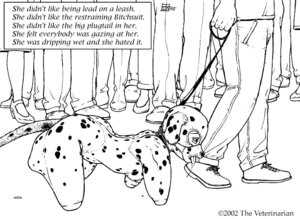 Rating: Explicit Score: 0 Tags: 2002 animal_costume arms_tied bdsm bitchsuit bodily_fluids bodysuit bondage bondage_gear bound breasts buttplug buttplug_tail chicken-wing_tied clothed clothing collar costume crawling disability dog_costume dominant dominant_human dominant_male drooling e621 english_text eyebrows fake_tail female forced frogtied fur fursuit grandfathered_content human human_pet humiliation leading leash legs_tied male mammal markings masochism monochrome nippleless_clothing nipples not_furry open_mouth petplay plug_(sex_toy) profanity public raised_inner_eyebrows roleplay saliva sex_toy side_view skinsuit slave solo spots spotted_body spotted_fur submissive submissive_female submissive_human tail text the_veterinarian tight_clothing tongue tongue_out walking User: bunchy7s
