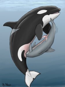 Rating: Explicit Score: 0 Tags: 3:4 animal_genitalia animal_penis aquatic cetacean cetacean_genitalia cetacean_penis cunnilingus dolorcin dolphin duo e621 erection female feral feral_on_feral genital_slit genitals larger_female male male/female mammal mammary_slits nude oceanic_dolphin oral orca penis sex size_difference smaller_male snout_fuck tapering_penis toothed_whale unbirthing vaginal vore vulva User: bunchy7s Rating: Explicit Score: 0 Tags: 3:4 animal_genitalia animal_penis aquatic cetacean cetacean_genitalia cetacean_penis cunnilingus dolorcin dolphin duo e621 erection female feral feral_on_feral genital_slit genitals larger_female male male/female mammal mammary_slits nude oceanic_dolphin oral orca penis sex size_difference smaller_male snout_fuck tapering_penis toothed_whale unbirthing vaginal vore vulva User: bunchy7s