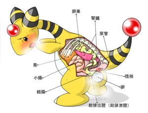 Rating: Explicit Score: 0 Tags: ampharos anatomy blush female nintendo pasaran pokemon pokemon_(species) rule34 tagme year_request User: bunchy7s Rating: Explicit Score: 0 Tags: ampharos anatomy blush female nintendo pasaran pokemon pokemon_(species) rule34 tagme year_request User: bunchy7s