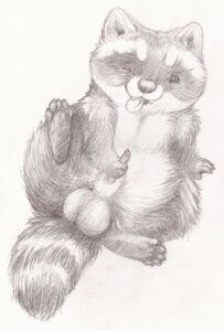 Rating: Explicit Score: 0 Tags: 2013 animal_genitalia balls coonpoof e621 erection feral genitals lying male mammal masturbation on_back one_eye_closed penile penile_masturbation penis procyonid raccoon sketch solo spread_legs spreading tongue tongue_out User: bunchy7s