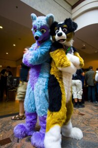 Rating: Safe Score: 0 Tags: anthro blue_eyes canid canine canis clothing convention costume domestic_dog duo e621 fursuit grandfathered_content hi_res keenora kerchief latinvixen looking_at_viewer male mammal noddles real tongue wolf User: bunchy7s