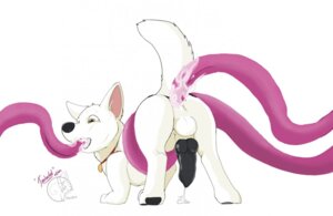Rating: Explicit Score: 0 Tags: 2014 anal anal_penetration backsack balls bodily_fluids bolt_(bolt) bolt_(film) butt canid canine canis consentacles cum cum_on_butt cum_on_ground disney domestic_dog e621 erection feral genital_fluids genitals german_shepherd herding_dog knot male mammal metalfox oral oral_penetration orange_eyes pastoral_dog pawpads paws penetration penis sex simple_background solo tentacle_in_mouth tentacle_penetration tentacle_sex tentacles white_background User: bunchy7s