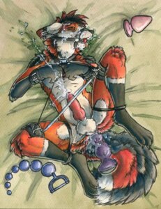 Rating: Explicit Score: 0 Tags: anal anal_beads anal_orgasm anal_penetration anthro ball_gag balls bdsm bodily_fluids bondage bound buttplug canid canine collar collar_linked_to_spreader_bar cum cum_while_penetrated dildo e621 ejaculation erection fox gag gagged genital_fluids genitals halter hands-free harness harness_ball_gag harness_gag legs_bound_to_collar male mammal muzzle_(object) muzzled orgasm penetration penis plug_(sex_toy) restraints ruaidri sex_toy sex_toy_background solo spread_legs spreader_bar spreading submissive submissive_male tail User: bunchy7s Rating: Explicit Score: 0 Tags: anal anal_beads anal_orgasm anal_penetration anthro ball_gag balls bdsm bodily_fluids bondage bound buttplug canid canine collar collar_linked_to_spreader_bar cum cum_while_penetrated dildo e621 ejaculation erection fox gag gagged genital_fluids genitals halter hands-free harness harness_ball_gag harness_gag legs_bound_to_collar male mammal muzzle_(object) muzzled orgasm penetration penis plug_(sex_toy) restraints ruaidri sex_toy sex_toy_background solo spread_legs spreader_bar spreading submissive submissive_male tail User: bunchy7s