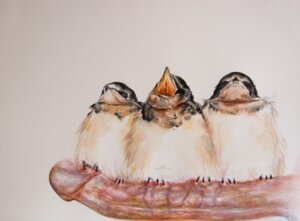 Rating: Explicit Score: 0 Tags: ambiguous_gender avian beak bird brittany_zagoria disembodied_penis e621 erection feathers feral genitals group hirundinid human humanoid_genitalia humanoid_penis male mammal open_mouth oscine painting_(artwork) passerine penis perching realistic realistic_feral swallow_(bird) traditional_media_(artwork) traditional_painting_(artwork) traditional_watercolor_(artwork) vein watercolor_(artwork) what young User: bunchy7s