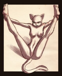 Rating: Explicit Score: 0 Tags: anthro breasts domestic_cat e621 felid feline felis female genitals legs_up mammal mysterybbq nipples nude solo spread_legs spreading tail vulva User: bunchy7s