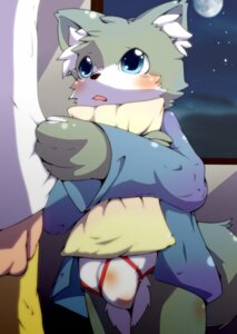 Rating: Questionable Score: 0 Tags: anthro blue_eyes blush bodily_fluids bulge canid canine canis clothed clothing duo e621 female male mammal moon night okunawa open_clothing open_shirt open_topwear pillow shirt sky star starry_sky tail tears topwear underwear wolf young young_anthro User: bunchy7s