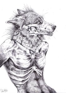 Rating: Safe Score: 0 Tags: anthro bone canid canine canis cross-hatching e621 fur greyscale half-length_portrait hatching_(art) male mammal monochrome portrait rib_cage shaded simple_background skeleton sketch smile solo teeth ulvehunden undead whiskers white_background wolf zombie User: bunchy7s Rating: Safe Score: 0 Tags: anthro bone canid canine canis cross-hatching e621 fur greyscale half-length_portrait hatching_(art) male mammal monochrome portrait rib_cage shaded simple_background skeleton sketch smile solo teeth ulvehunden undead whiskers white_background wolf zombie User: bunchy7s