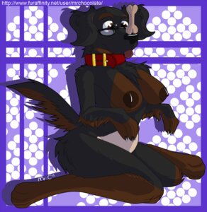 Rating: Questionable Score: 0 Tags: anthro aysu_(mr_chocolate) bone breasts brown_eyes brown_nipples canid canine canis collar domestic_dog e621 eyewear female glasses mammal mrchocolate nipples nude solo tail User: bunchy7s