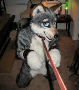 Rating: Questionable Score: 0 Tags: anthro bdsm bondage bound canid canine canis clothing collar costume e621 fursuit grandfathered_content leash male mammal pose real solo submissive submissive_male unknown_artist wolf User: bunchy7s Rating: Questionable Score: 0 Tags: anthro bdsm bondage bound canid canine canis clothing collar costume e621 fursuit grandfathered_content leash male mammal pose real solo submissive submissive_male unknown_artist wolf User: bunchy7s