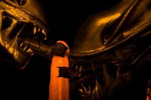 Rating: Explicit Score: 0 Tags: 2013 3d_(artwork) 3d_animation alien alien_(franchise) ambiguous_gender animated animated_gif cheek_window dark digital_media_(artwork) disembodied_penis doge_(artist) e621 erection fellatio genital_danger_play genitals group group_sex human inner_mouth interspecies low_res male mammal oral penile penis penis_bite sex sharp_teeth short_playtime sideways_oral source_filmmaker_(artwork) teeth threesome tongue_mouth trio xenomorph User: bunchy7s Rating: Explicit Score: 0 Tags: 2013 3d_(artwork) 3d_animation alien alien_(franchise) ambiguous_gender animated animated_gif cheek_window dark digital_media_(artwork) disembodied_penis doge_(artist) e621 erection fellatio genital_danger_play genitals group group_sex human inner_mouth interspecies low_res male mammal oral penile penis penis_bite sex sharp_teeth short_playtime sideways_oral source_filmmaker_(artwork) teeth threesome tongue_mouth trio xenomorph User: bunchy7s