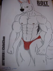 Rating: Questionable Score: 0 Tags: 3:4 anthro anthrofied biped bolt_(bolt) bolt_(film) canid canine canis chibichan clothing disney domestic_dog e621 fist fur german_shepherd grandfathered_content herding_dog hi_res line_art male mammal muscular muscular_anthro muscular_male pastoral_dog real red_clothing red_underwear solo standing tail underwear werwolf-witcher white_body white_fur User: bunchy7s Rating: Questionable Score: 0 Tags: 3:4 anthro anthrofied biped bolt_(bolt) bolt_(film) canid canine canis chibichan clothing disney domestic_dog e621 fist fur german_shepherd grandfathered_content herding_dog hi_res line_art male mammal muscular muscular_anthro muscular_male pastoral_dog real red_clothing red_underwear solo standing tail underwear werwolf-witcher white_body white_fur User: bunchy7s