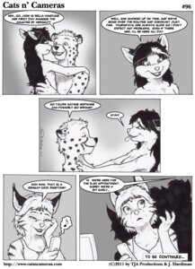 Rating: Safe Score: 0 Tags: anthro bella_tyler_moore black_hair cats_n'_cameras cheetah clothed clothing comic dialogue digital_media_(artwork) domestic_cat duo_focus e621 english_text felid feline felis female greyscale group hair james_di_benedetto james_m_hardiman josephine_rodgers male male/female mammal marker_(artwork) mixed_media monochrome pen_(artwork) romantic romantic_couple silhouette simple_background text tongue tongue_out topless traditional_media_(artwork) uhoh url User: bunchy7s