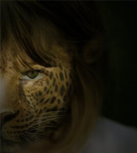 Rating: Safe Score: 0 Tags: charlesbc e621 felid female grandfathered_content hair leopard leopard_spots mammal pantherine photo_manipulation photomorph solo spots third-party_edit User: bunchy7s
