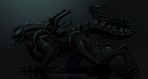 Rating: Explicit Score: 0 Tags: 2012 alien alien_(franchise) all_fours bodily_fluids claws cum dark drooling e621 erection exoskeleton genital_fluids genitals male masturbation muscular muscular_male orgasm pcz penile penile_masturbation penis reflection saliva snakehead404 solo tail xenomorph User: bunchy7s
