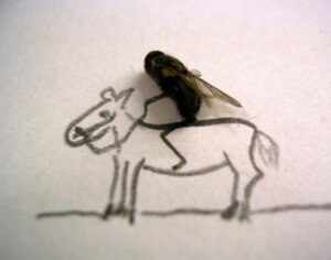 Rating: Safe Score: 0 Tags: ambiguous_gender arthropod black_body duo e621 equid equine feral fly_(animal) grandfathered_content graphite_(artwork) horse horsefly housefly humor insect insect_wings low_res mammal mixed_media photography_(artwork) pun quadruped snout source_request standing tabanid traditional_media_(artwork) unknown_artist wings User: bunchy7s