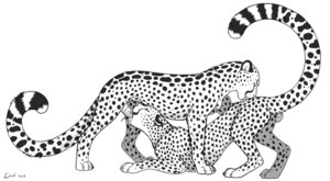 Rating: Explicit Score: 0 Tags: ambiguous_gender anatomically_correct anatomically_correct_genitalia anatomically_correct_penis animal_genitalia animal_penis bodily_fluids cheetah cum cum_in_mouth cum_inside digital_media_(artwork) duo e621 erection exuli felid feline feline_genitalia feline_penis fellatio female female_penetrated feral feral_on_feral genital_fluids genitals intraspecies licking male male/female male_penetrating male_penetrating_female mammal monochrome nude oral oral_penetration penetration penile penile_spines penis raised_tail romantic romantic_couple sex simple_background tail tongue tongue_out white_background User: bunchy7s