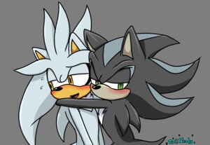 Rating: Safe Score: 0 Tags: 2012 alpha_channel anthro blush chest_tuft duo e621 english_text eulipotyphlan fur green_eyes hedgehog hug male male/male mammal mephiles_the_dark open_mouth sega silver_the_hedgehog simple_background sonic_the_hedgehog_(series) text tongue transparent_background tuft twilishady unavailable_at_source yellow_eyes User: bunchy7s